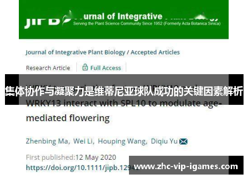 集体协作与凝聚力是维蒂尼亚球队成功的关键因素解析