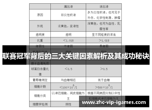 联赛冠军背后的三大关键因素解析及其成功秘诀