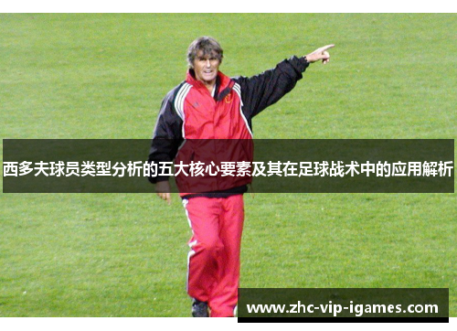 西多夫球员类型分析的五大核心要素及其在足球战术中的应用解析